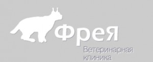 Ветклиника сокол вологодская. Ветеринарная клиника Фрейя. Фрея ветеринарная клиника Северодвинск. Ленинградский проспект 66 ветеринарная клиника. Фрея ветеринарная клиника Северодвинск режим.