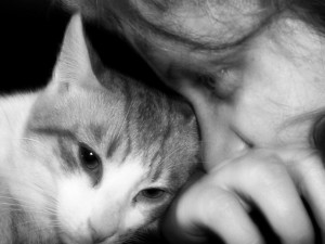 Котята помогают пациентам с болезнью Альцгеймера