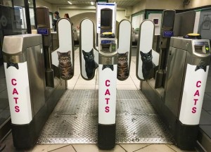 Кошки вместо рекламы: преображение подземки в Лондоне