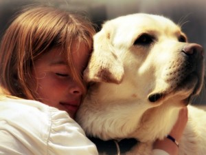 Никаких телячьих нежностей: собаки не любят обниматься