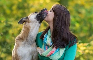 Врачи напоминают: каждый поцелуй с собакой может быть смертельно опасен!