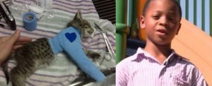 Девятилетний мальчик спас котёнка от издевательств