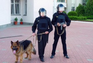 Управление ветеринарии: домашних животных в Ростове-на-Дону регистрировать не надо
