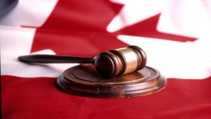 В канадском Квебеке наконец-то принят закон о правах животных