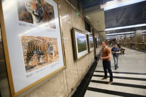 В московском метро открылась фотовыставка, посвященная редким животным