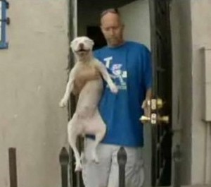Пойман с поличным: адвокат по защите прав животных арестован за спасение брошенных собак из дома в Лос Анджелесе