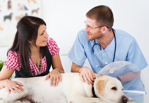 У вас дома ветеринарный врач может уделить вам больше времени.