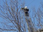 Пожарные спасли кота с помощью 30-метровой лестницы