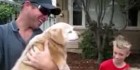 Воссоединение: собака вернулась домой после пятилетнего отсутствия