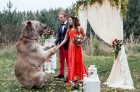 Свадьба по-русски: в Москве молодожены устроили фотосессию с медведем