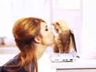 «Почему нельзя целовать кошек» - самый популярный запрос в Интернете